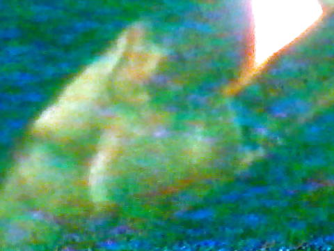 A small empty saggy tits mature on spy cam #4109641
