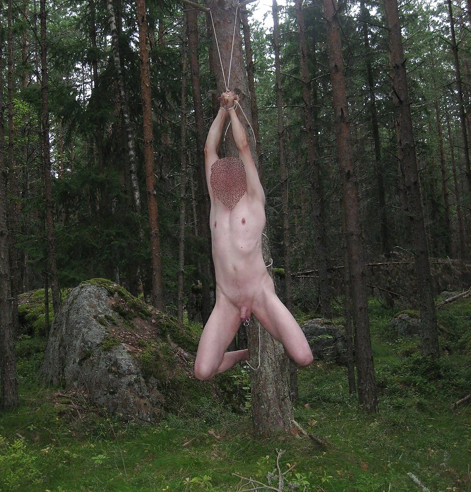 Me in nature and in the woods #12996963