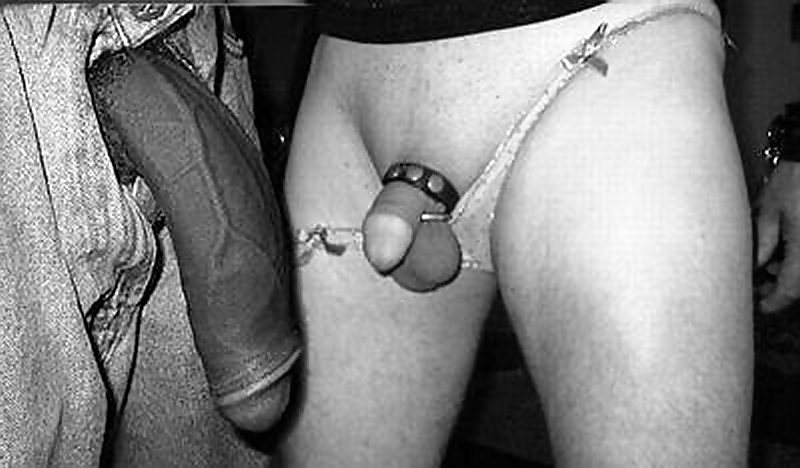 WHITE HUBBIES SHOWING THEIR SUBMISSION TO THE BBC 2 #14183991
