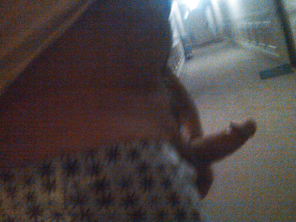 Jerking in Public Hallway #62403