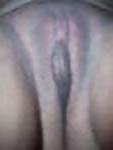 Pussy #3747474