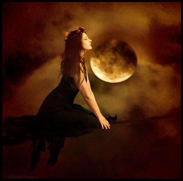 More for the Beautiful and Enchanting... )o( #10859790