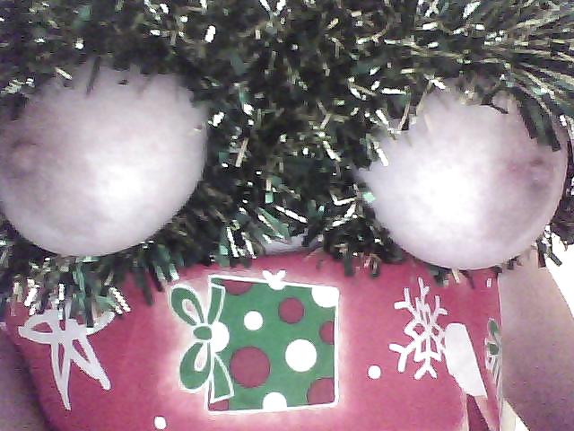 Xmas advent calendar 2012 #16932662
