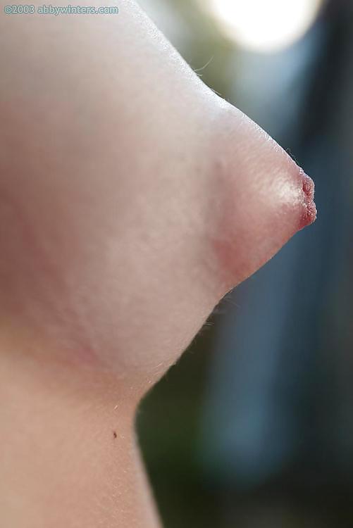 Puffy Nipples -All Shapes and Sizes #16861203