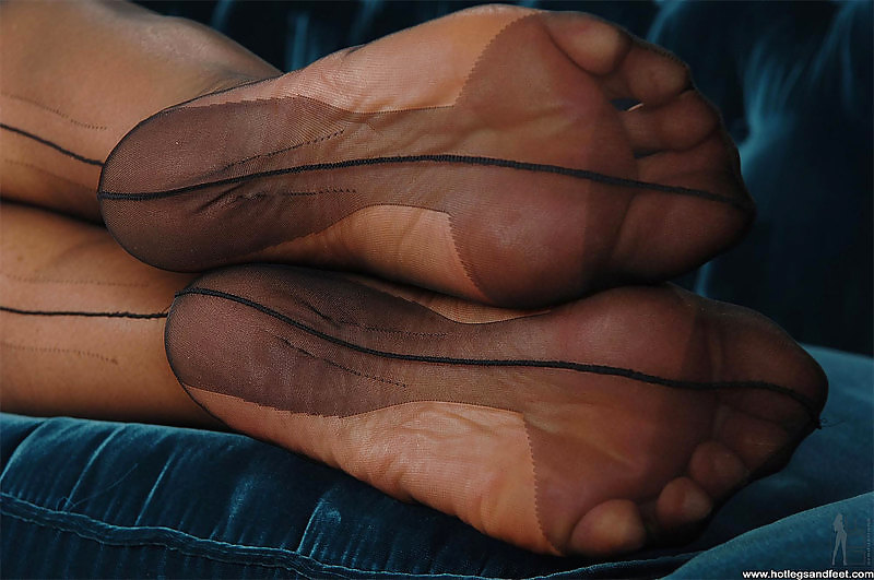 Legs and feet from the web #7221462