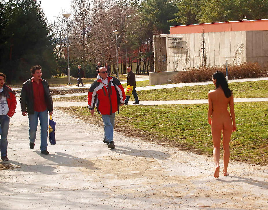 COLLECTION OF...NAKED AND PUBLIC FLASHING #7761055