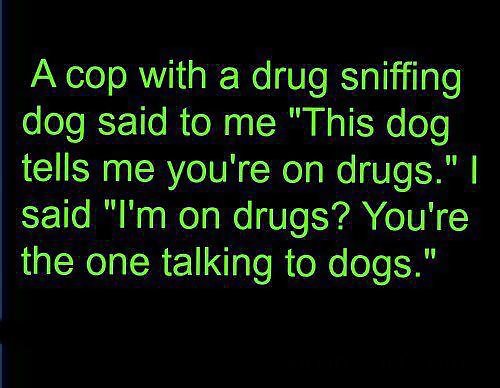 More random funnies and other stuff  #18404190