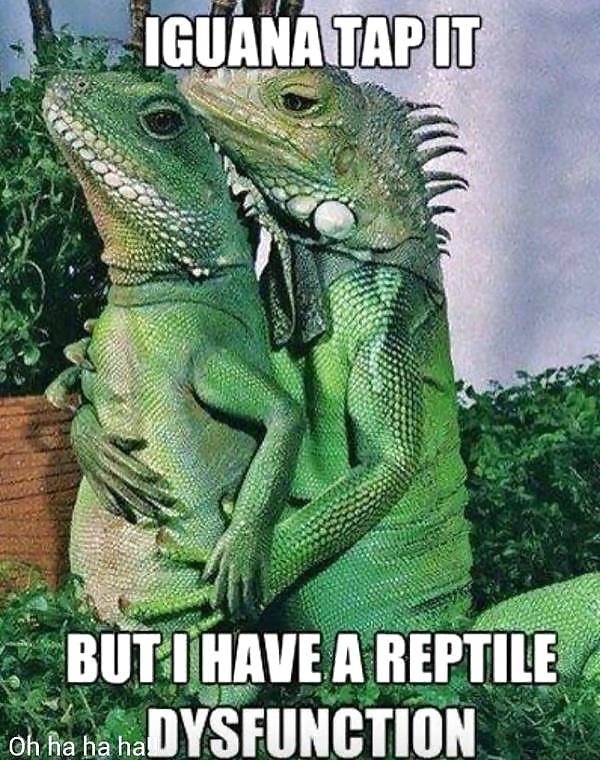 More random funnies and other stuff  #18404201