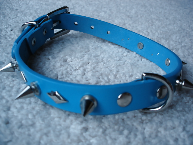 Collars and leashes and chains, Oh My! #20646149