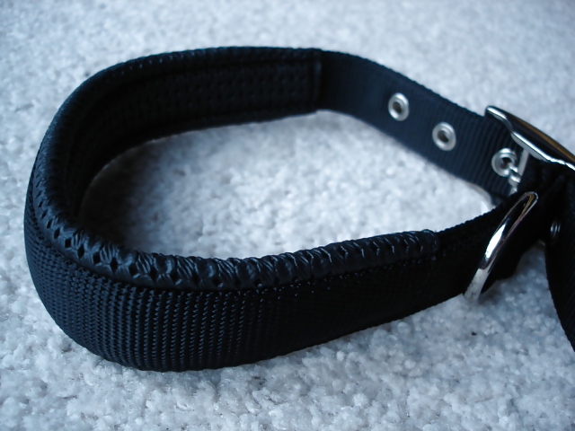 Collars and leashes and chains, Oh My! #20646155