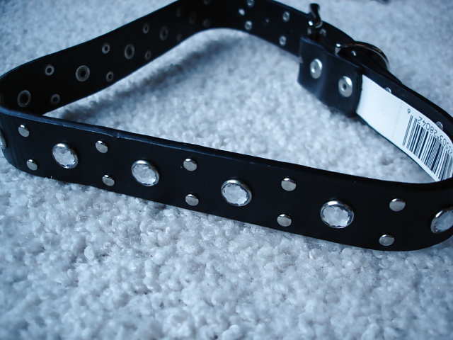 Collars and leashes and chains, Oh My! #20646162