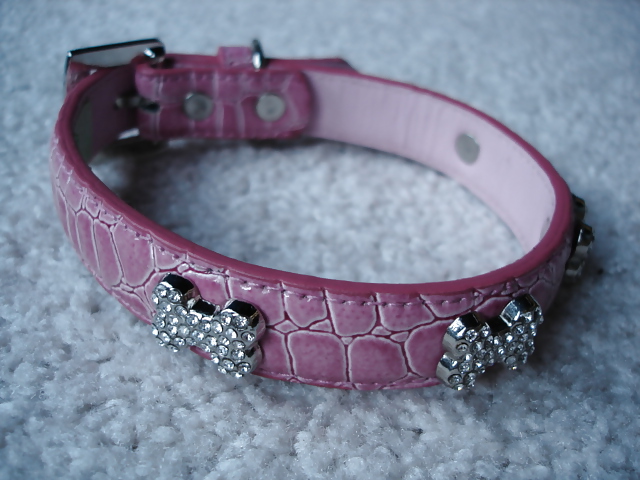 Collars and leashes and chains, Oh My! #20646212