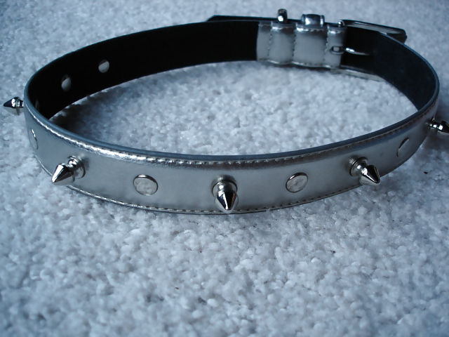 Collars and leashes and chains, Oh My! #20646239