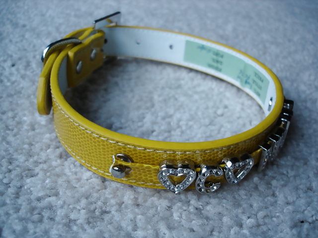 Collars and leashes and chains, Oh My! #20646246