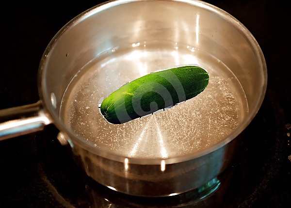 Cucumber Vegina or Choot #21369779