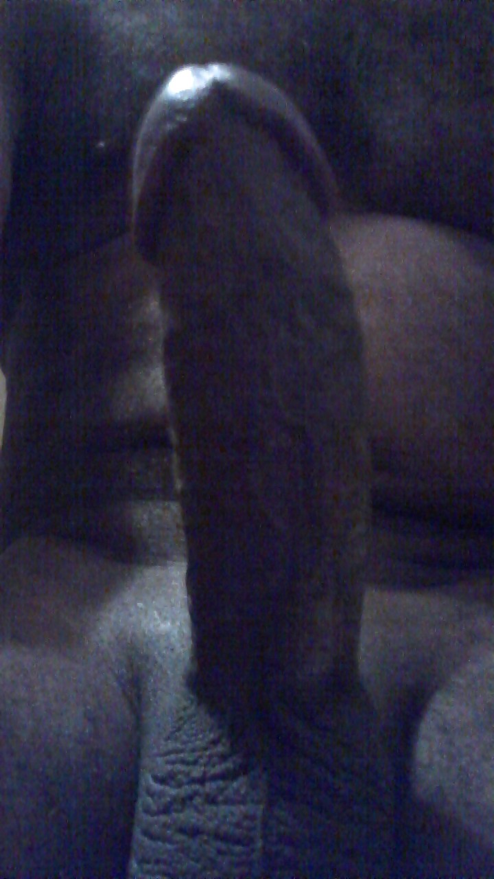 Shiny and ready for some wet wet  #12031027