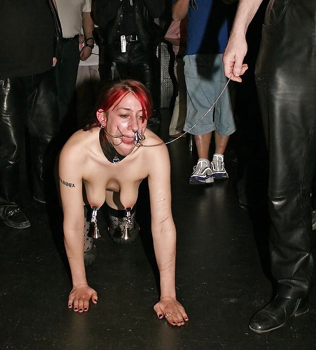 Training of A Slave #9652102