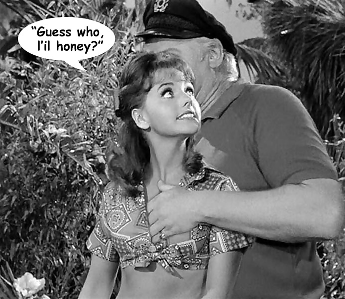 Gilligan's Island Fakes #17622965