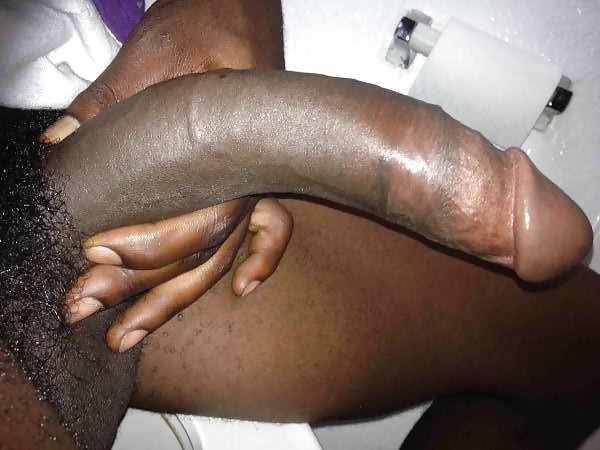 Big Cocks #40749820