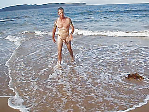 A day at the beach with dale #30472661