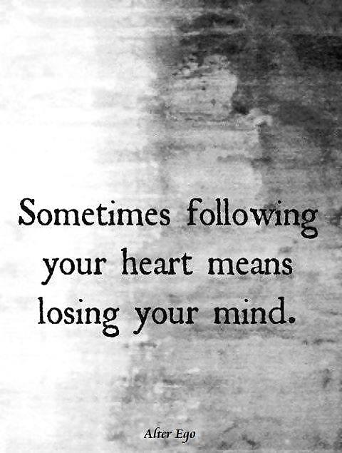 A little of this and that for you  #36783534