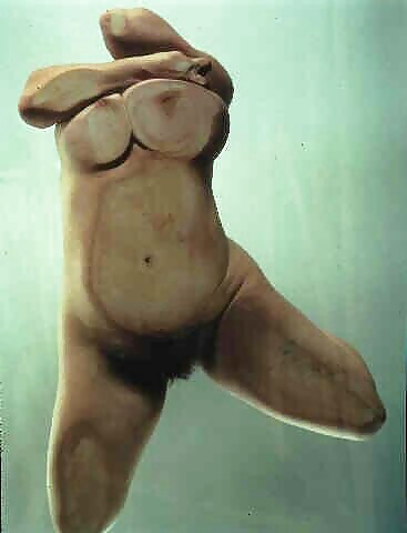 Where is my PLUS SIZE? #34459236