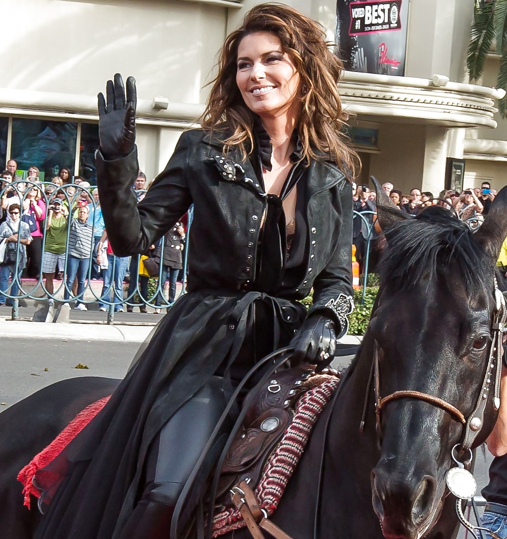 Shania Twain - some nice fakes mixed in #26174075