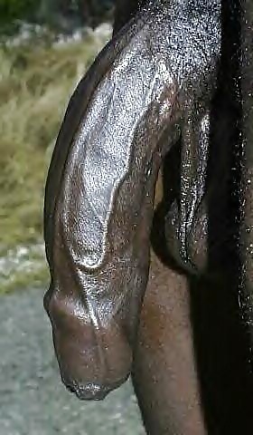 Big Black Cocks #29436341