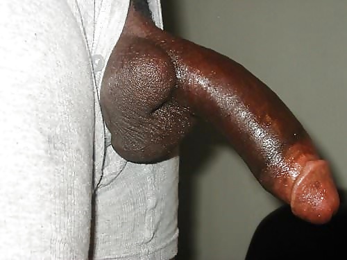 Big Black Cocks #29436566