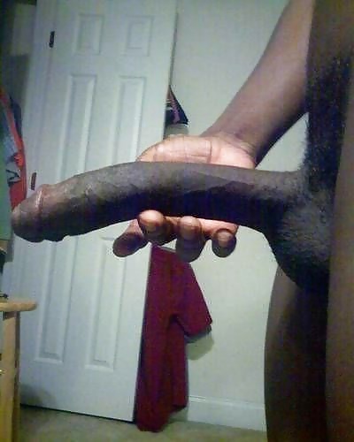 Big Black Cocks #29436943