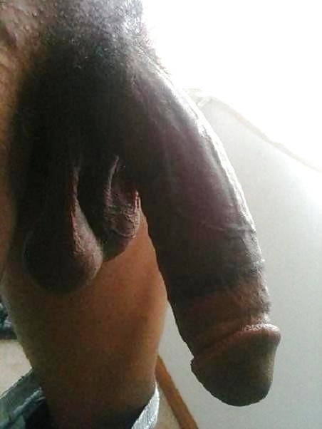 Big Black Cocks #29437022