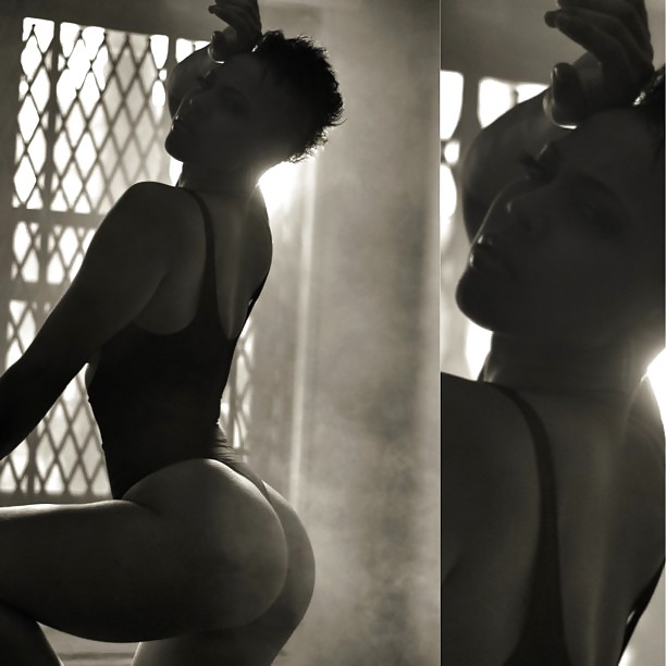 Asses Of All Shape N Sizes #24924605