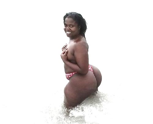 Asses Of All Shape N Sizes #24924648