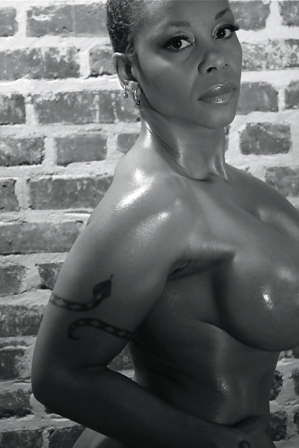 Kitten Has Been Working Out #28631967