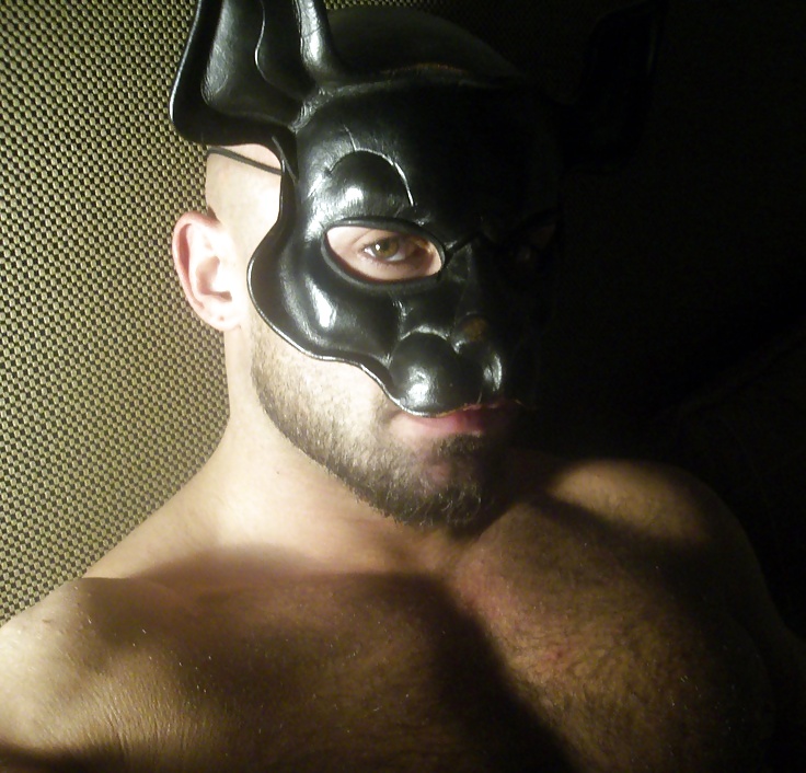 Francois Sagat - The biggest collection on xHamster 01 #23513635