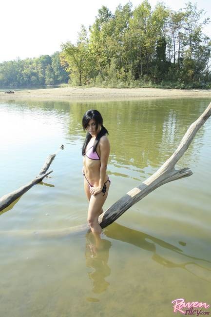 Raven Riley suns herself on a branch #73194343