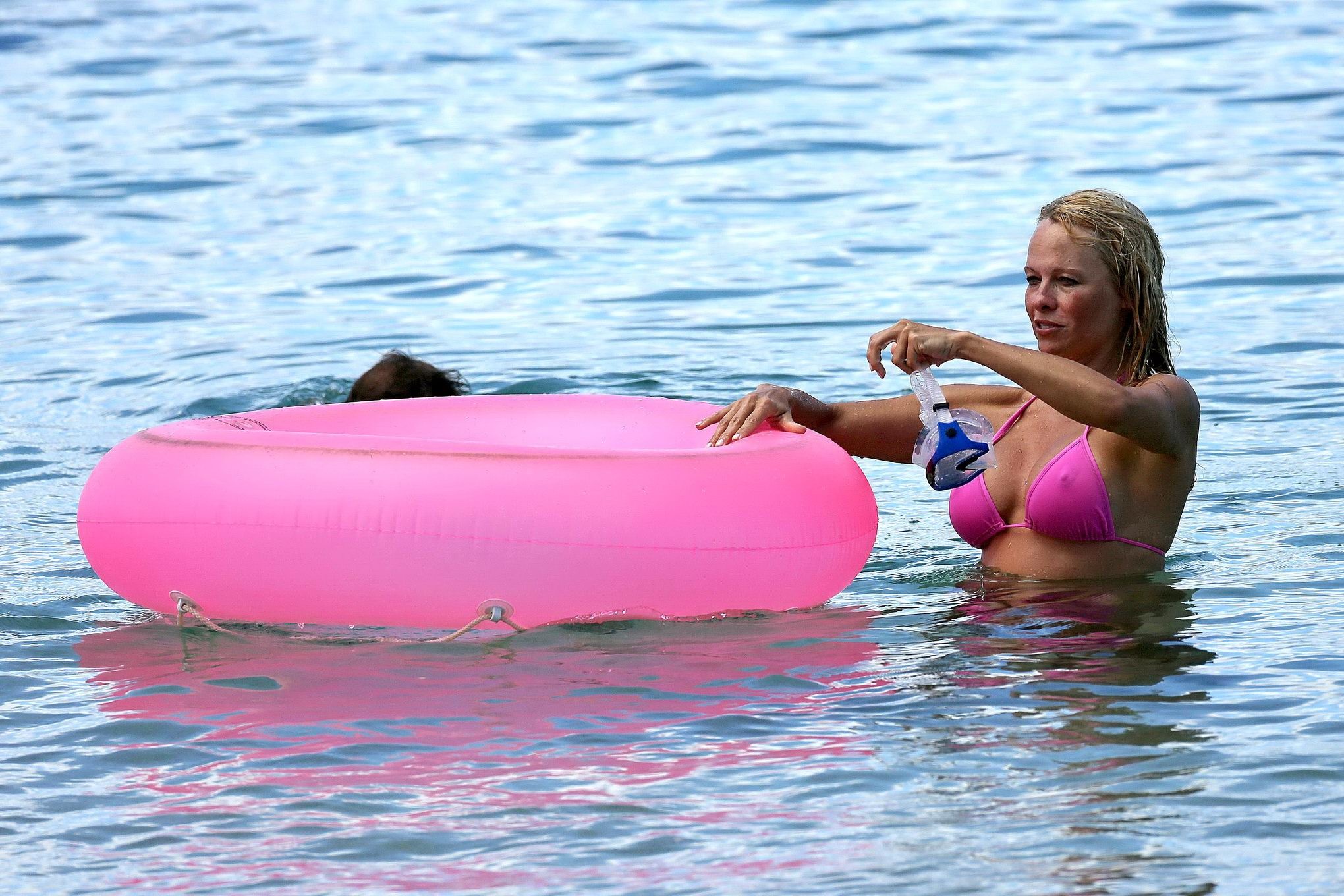Busty Pamela Anderson showing pokies in a wet pink bikini while snorkeling on a  #75221489