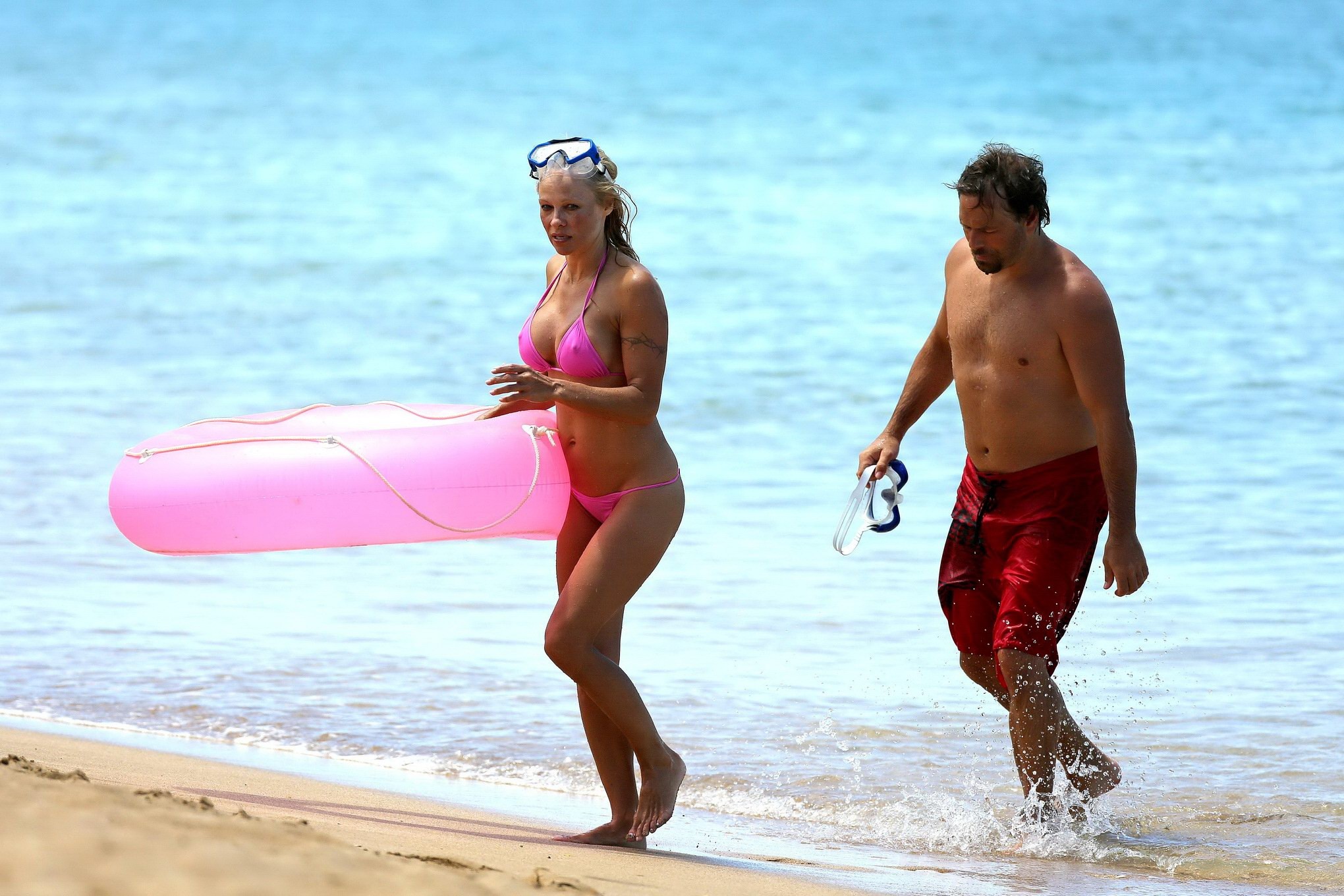 Busty Pamela Anderson showing pokies in a wet pink bikini while snorkeling on a  #75221565