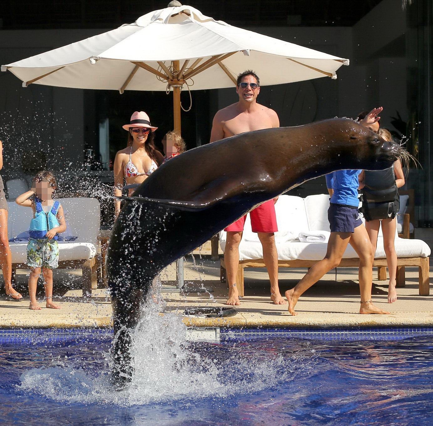 Kourtney Kardashian in bikini making out with a big seal at the pool in Mexico #75205727