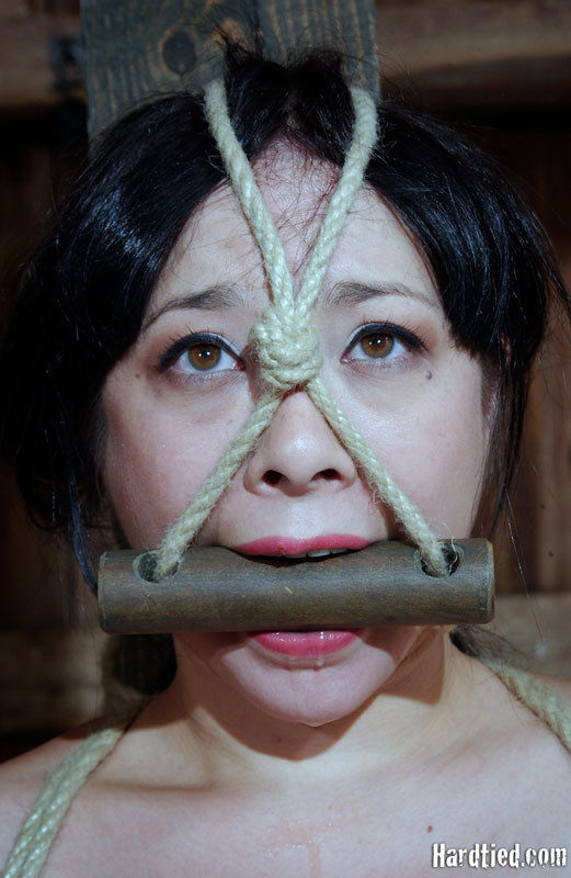 Tight ties do more than just keep someone in place. For Nyssa Nevers the rope i #72051232